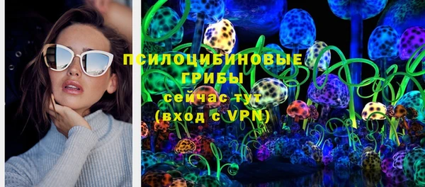 ECSTASY Пестово